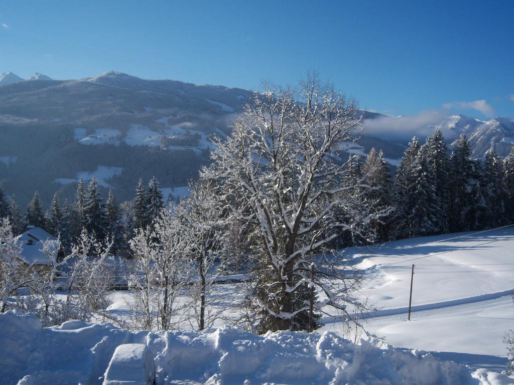 Appartement Zum Roessl Ramsau am Dachstein Room photo